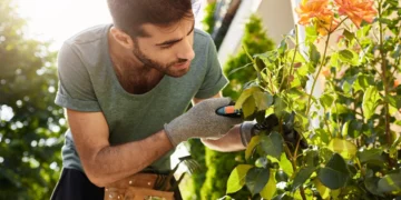 وظائف موسمية: الفرص والتحديات