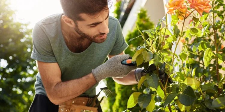 وظائف موسمية: الفرص والتحديات