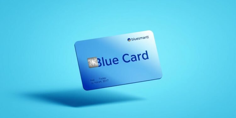 البطاقة الزرقاء ألمانيا Blue Card للخريجين